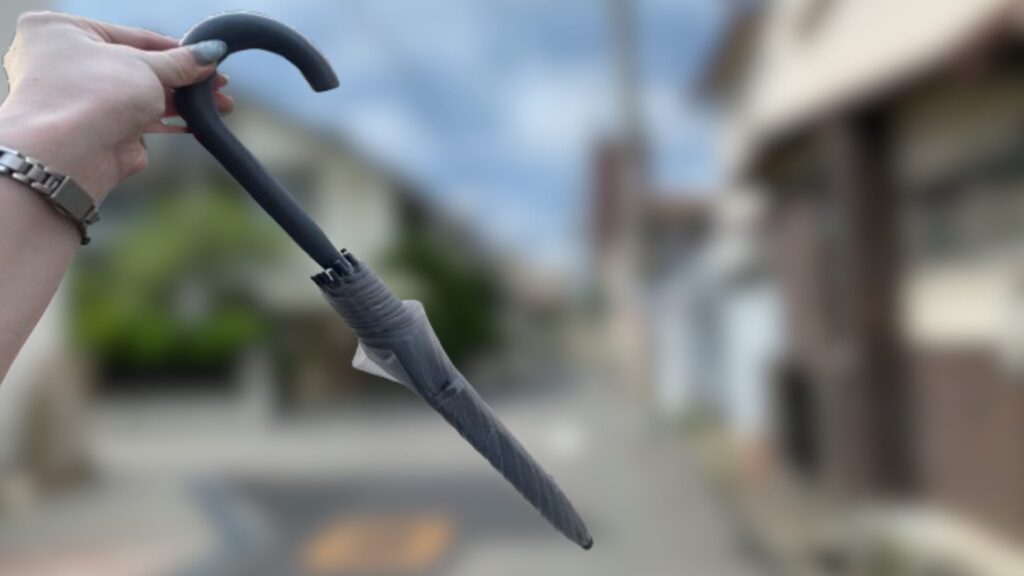 家にあるサエラ傘
