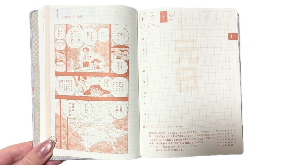 ほぼ日×ワンピース
1日1ページ写真