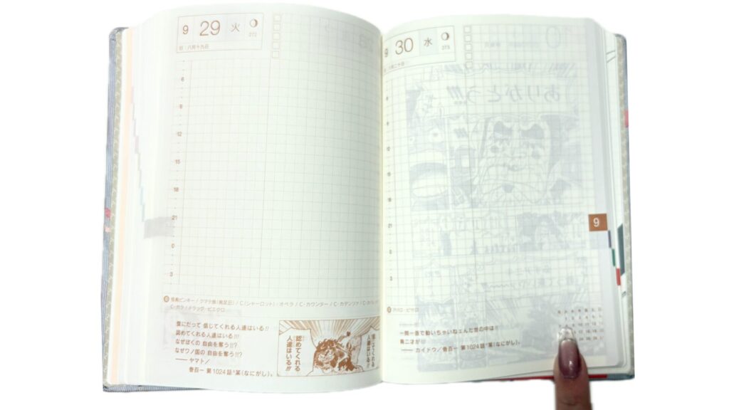 ほぼ日×ワンピース
絵の裏の透け感写真