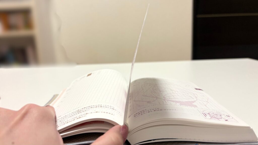 ほぼ日×ワンピース
紙の薄さ写真