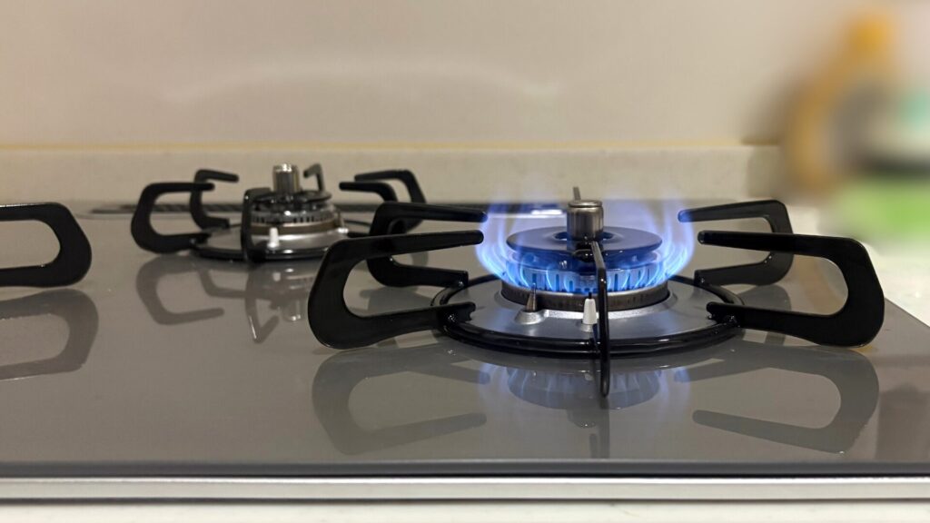 FACEIS GRAND PD-893WS火加減写真