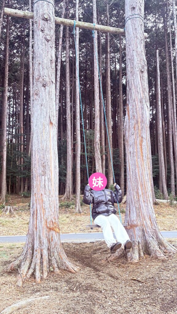 奏の森リゾート 敷地内写真